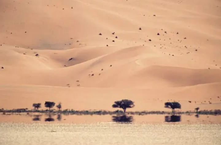 Fair launches concept